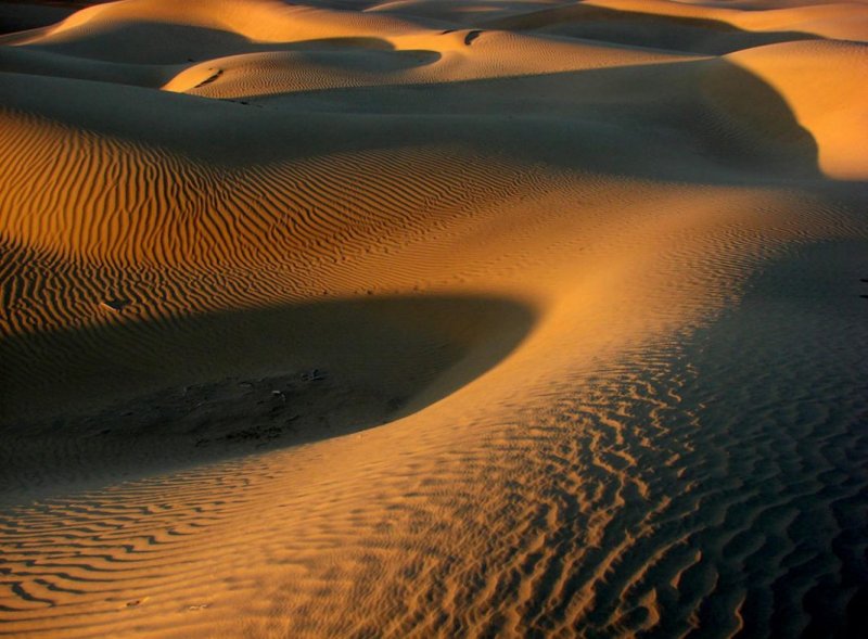 Пустыня Thar