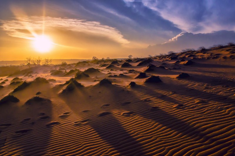 Утро рассвет пустыня