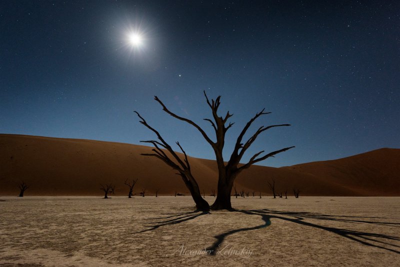 Лунная Долина Намибия