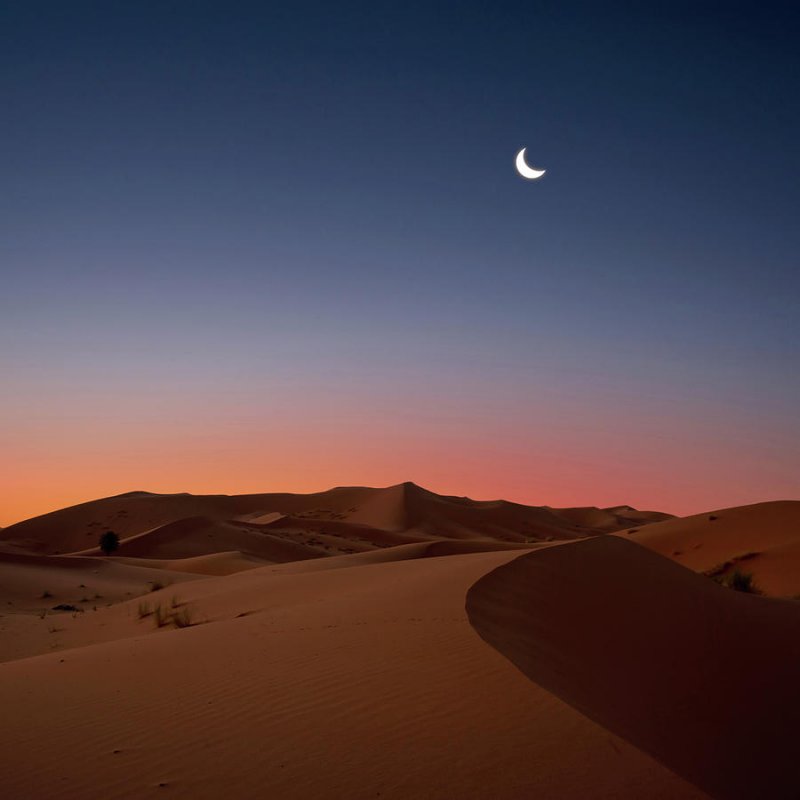 Лунная ночь в пустыне