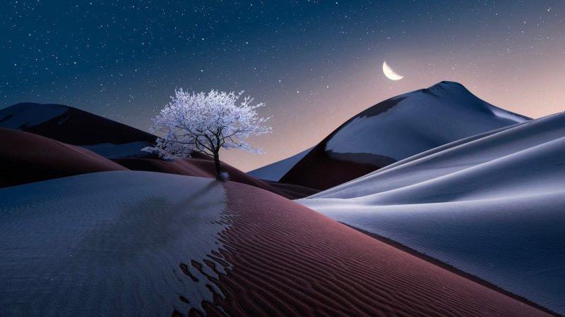 Снежная пустыня ночью