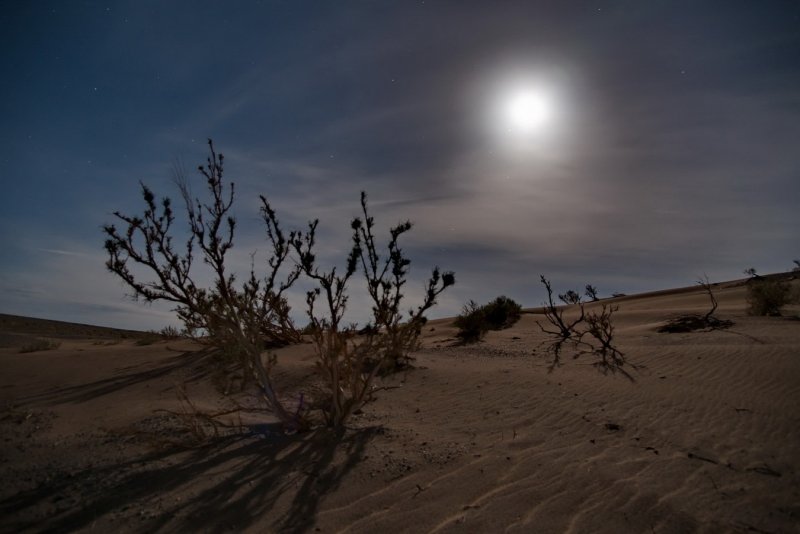 Пустыня Гоби ночью