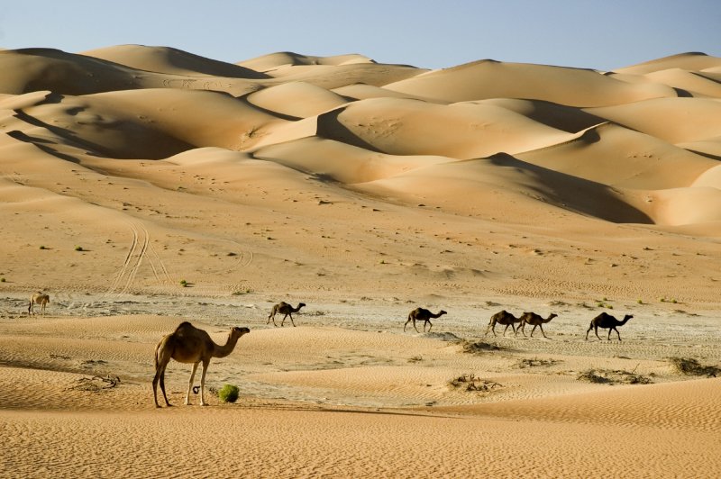 Антиох Барс аравийских пустынь