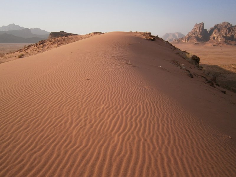 Оазис в пустыне Аравийский полуостров