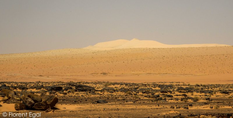 ОАЭ пустыня руб-Эль-Хали