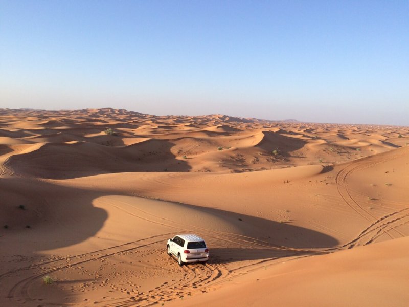 Пустынное сафари в ОАЭ