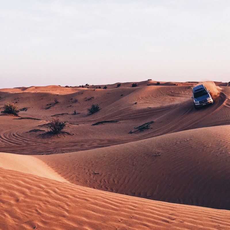 ОАЭ пустыня сафари
