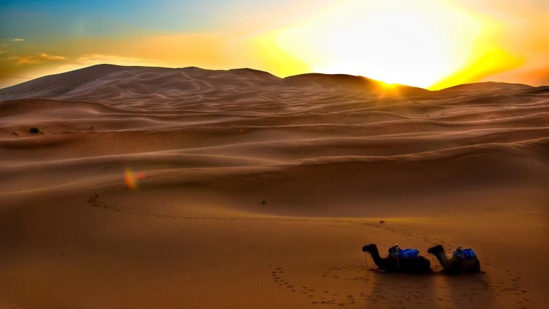 Вечерняя пустыня