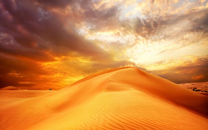 Палящее солнце над пустыней