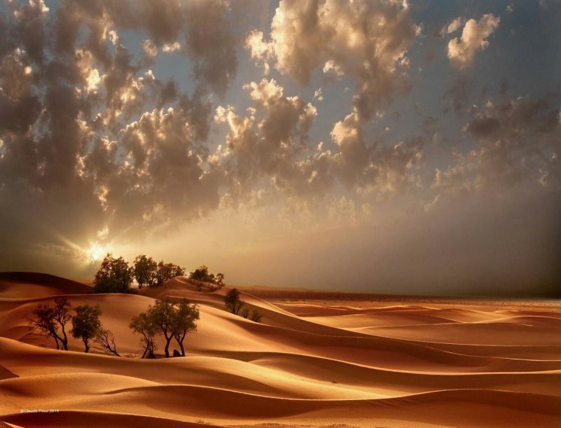 Пустыня красивый пейзаж