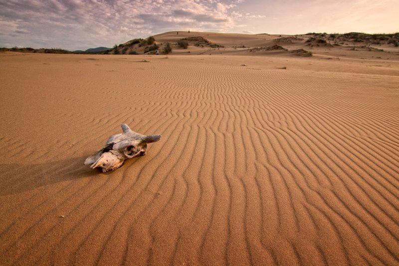 Пустыня без песка