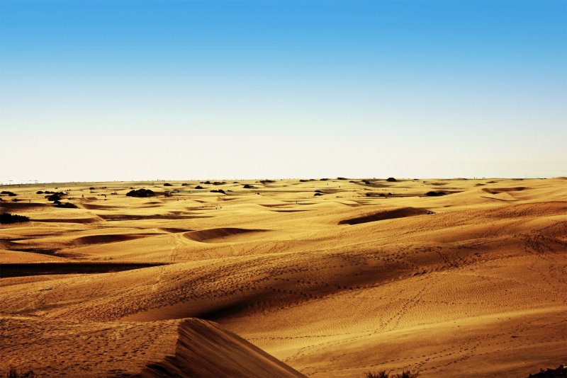 Песчаные степи