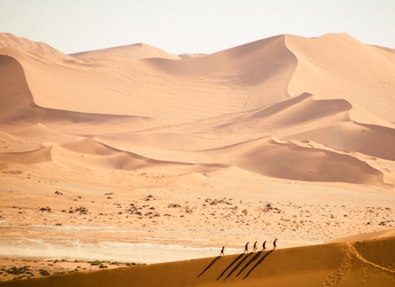 Барханы пустыни Намиб