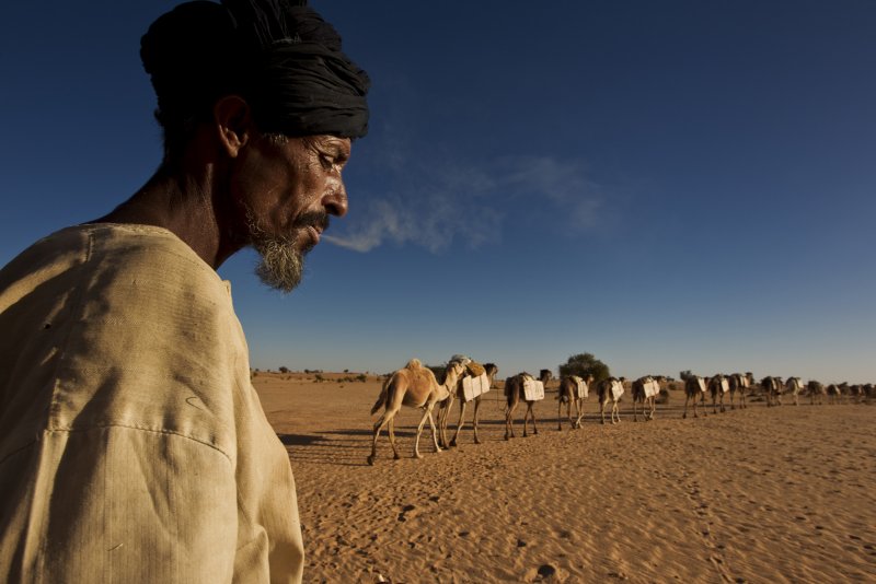 Туареги племя кочевников Африки