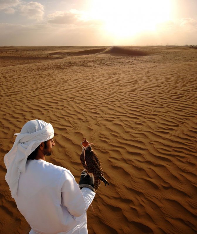 Арабская пустыня