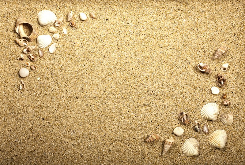 Песочный пляж с ракушками