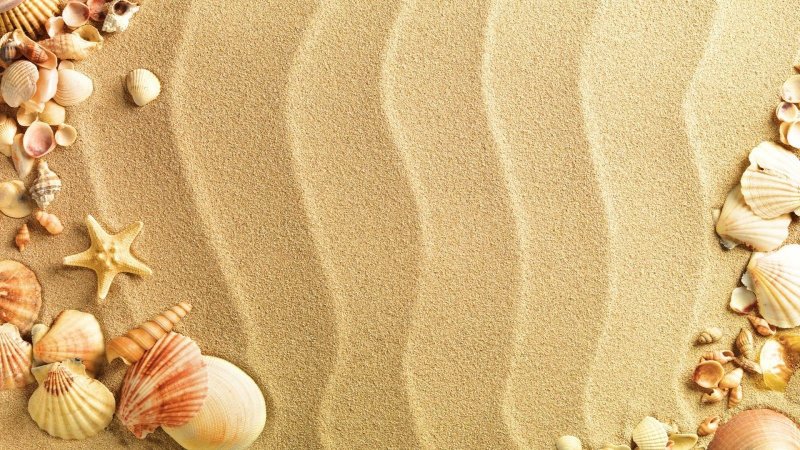 Песок пляж ракушки