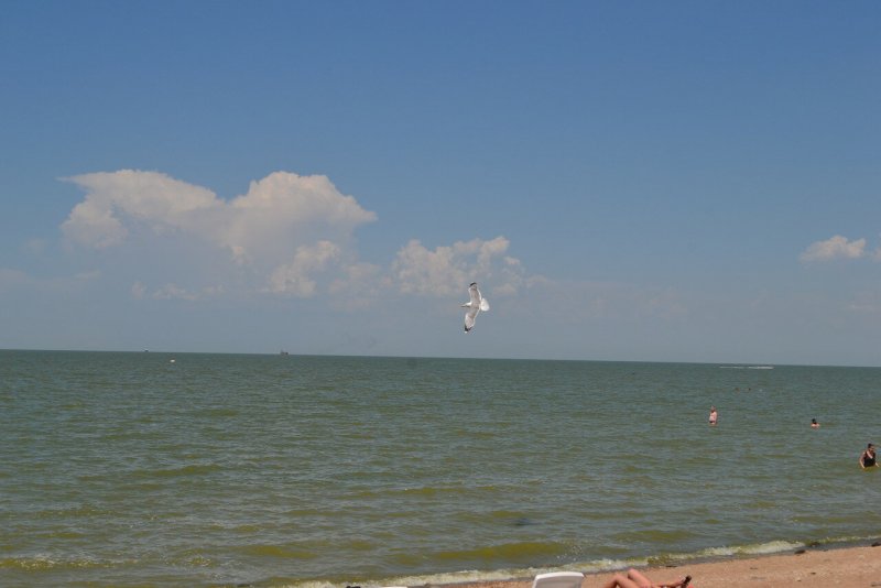 Азовское море ейск фото пляжей и набережной