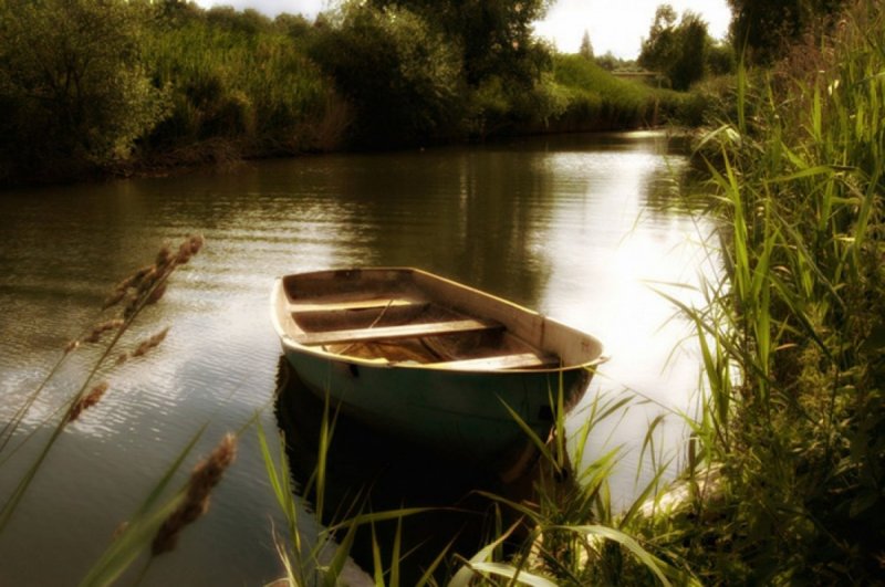 Лодка на берегу пруда
