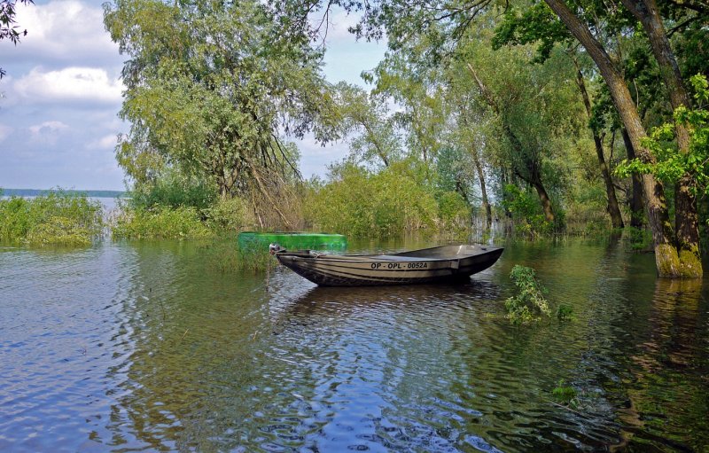 Речной катер на озере