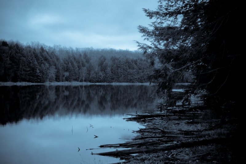 Темный лес озеро