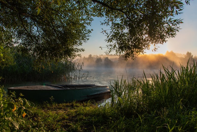 Августовское утро у реки