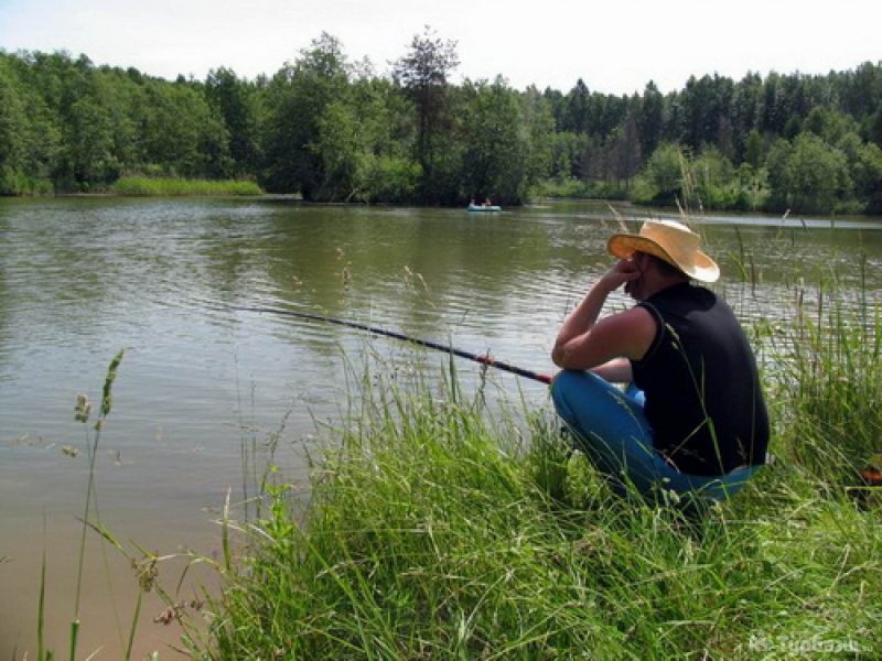 Рыбаки на рыбалке летом