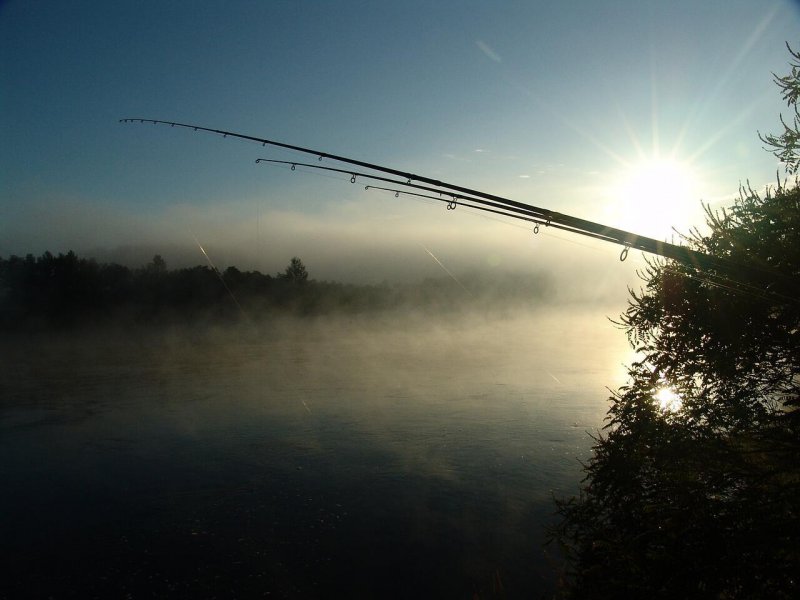 Рыбалка на утренней зорьке