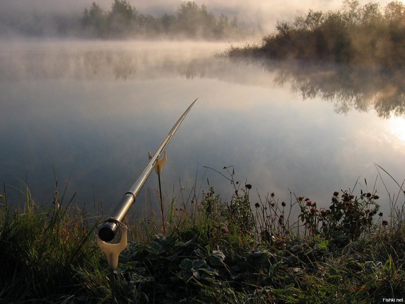 Рыбалка река Катунь Алтайский край