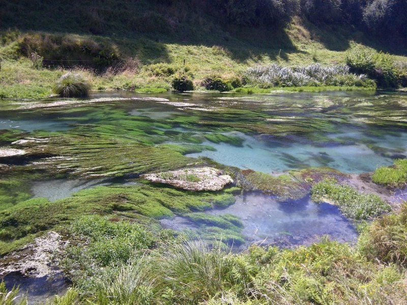 Вайху – Сказочная река в новой Зеландии