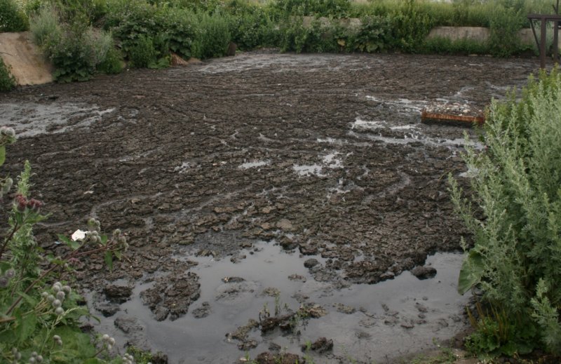 Загрязненные реки Тверь