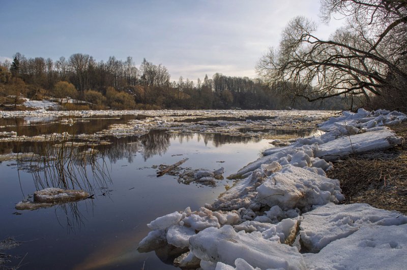 Река Западная Двина весной