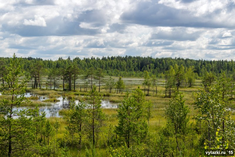 Усинское болото в Республике Коми