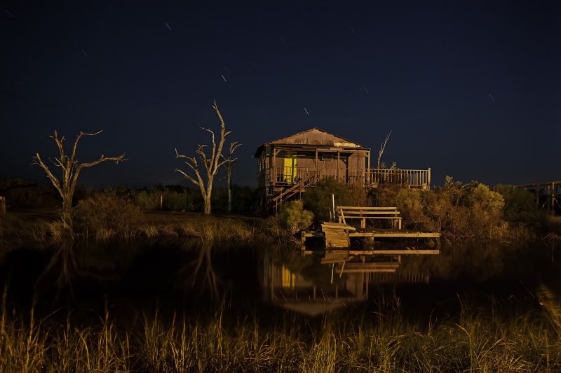 Луизиана болото ночью