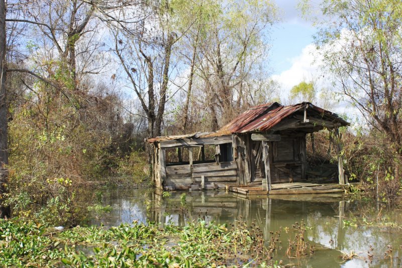 Заброшенные Луизиана болота