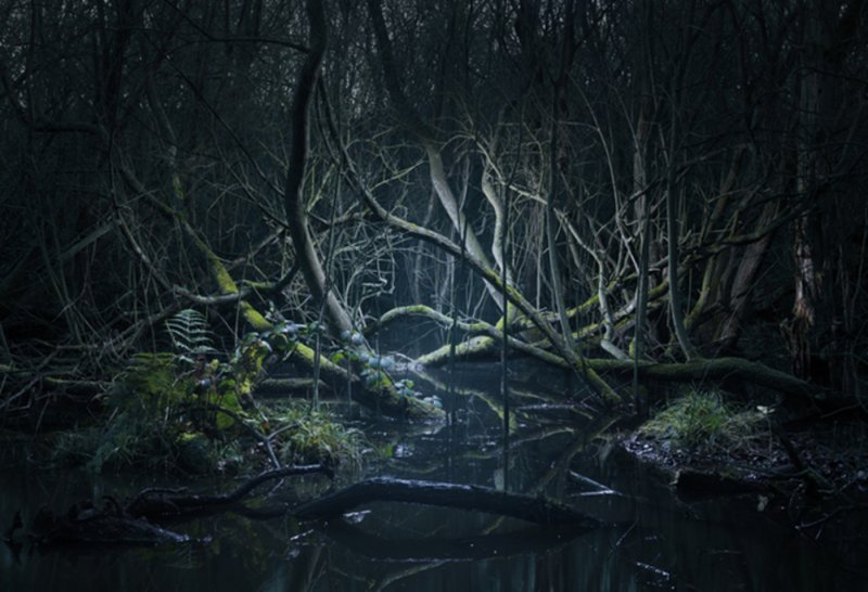 Мрачное болото