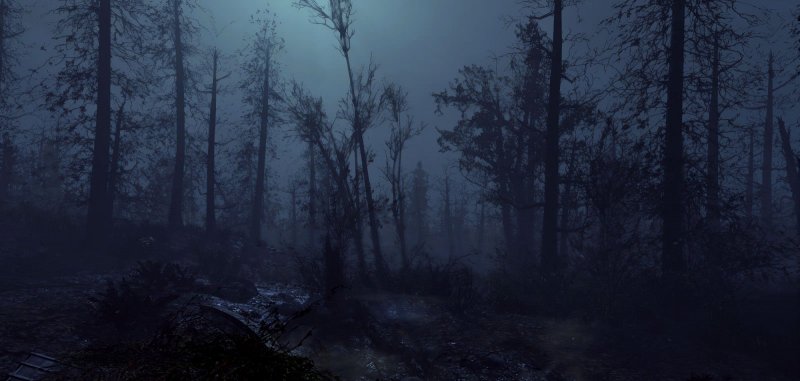 Болото в лесу ночью