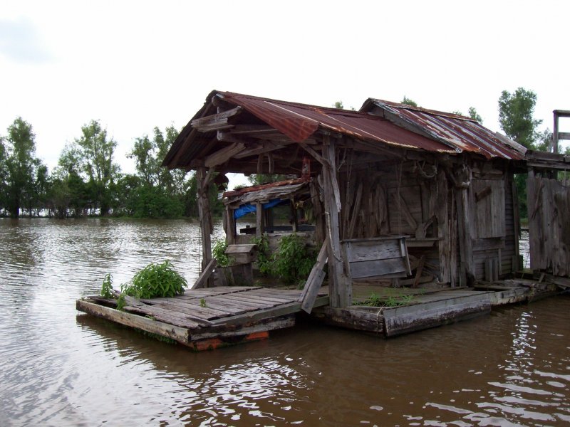 Дома на болотах Луизианы