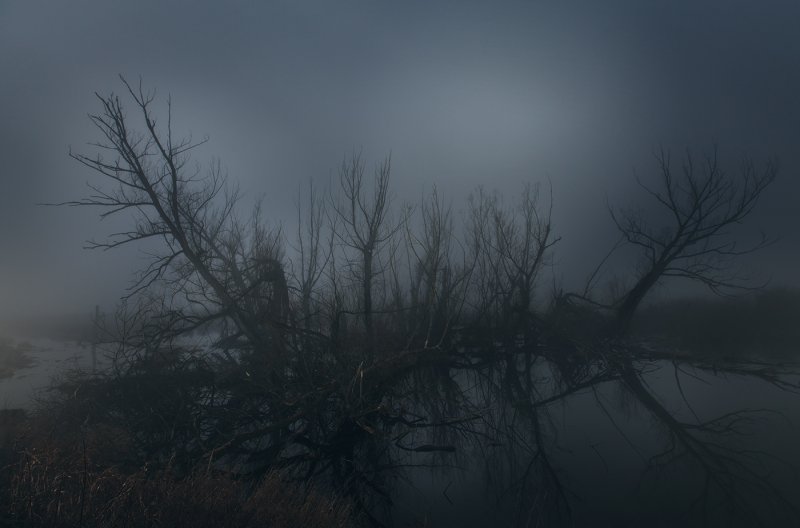 Мрачный туман на болоте