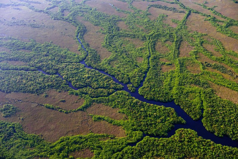 Национальный парк Эверглейдс мангровые леса