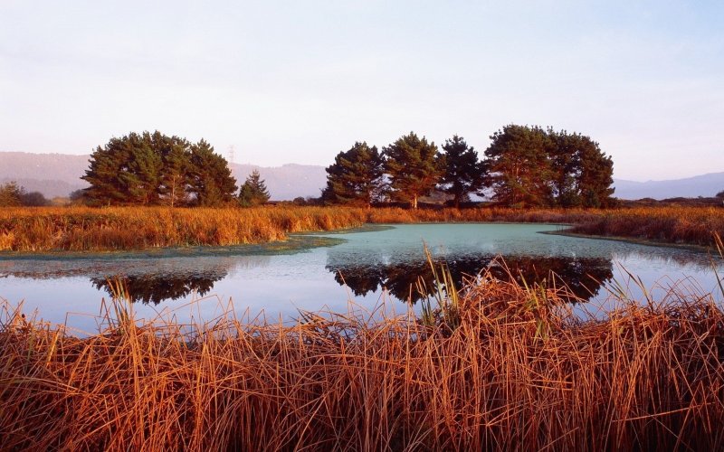 Камыш-Самарские озёра