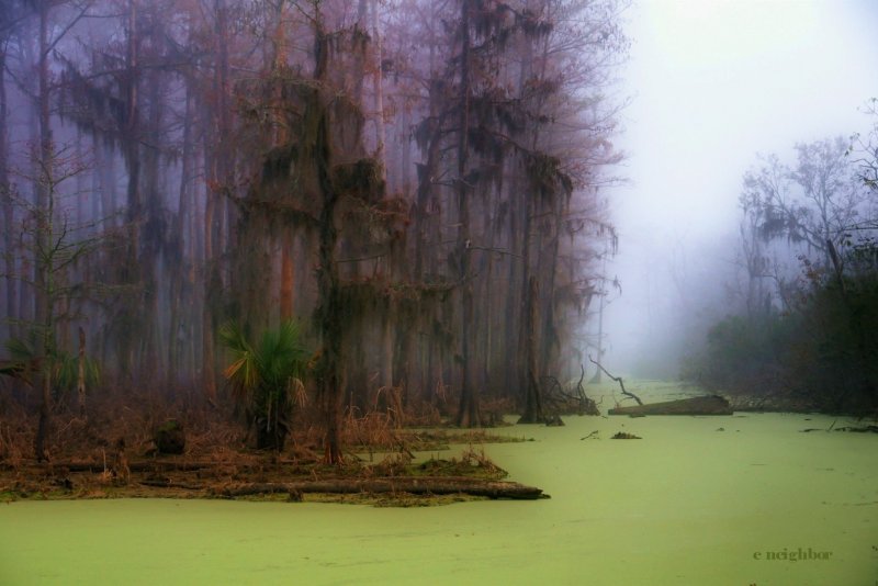 Штат Луизиана пейзажи