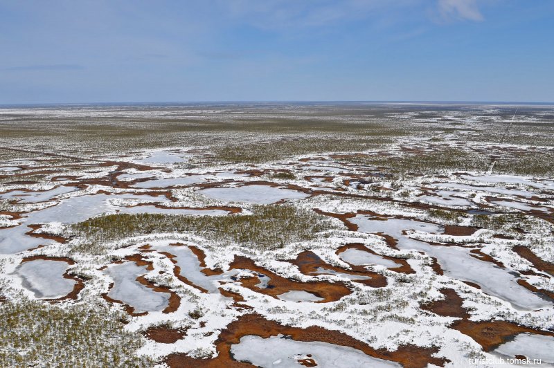 Панорама Васюганское болото