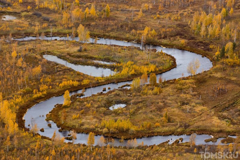Западная Сибирь река Васюган