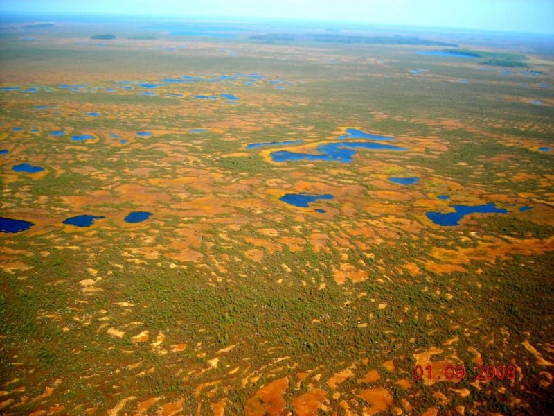 Васюганских болотах в Западной Сибири