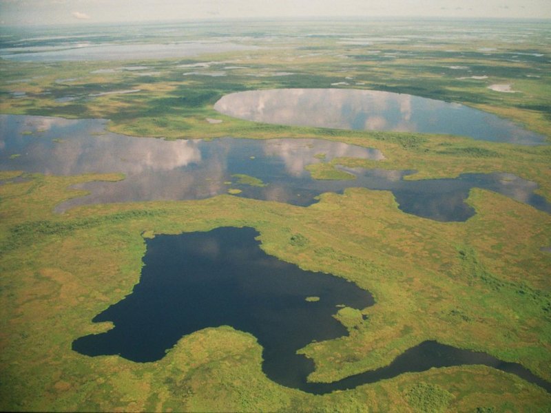 Китлинское болото Омская область
