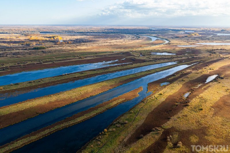 Васюганские болота торф Томская область