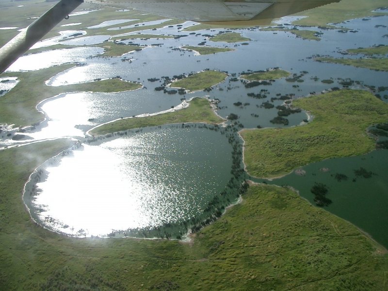 Васюганские болота в Новосибирской