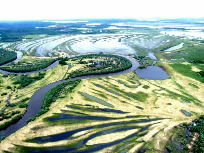 Васюганское болото Томской области