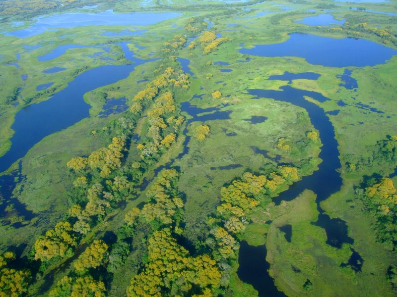 Самое большое болото в мире - Васюганское.